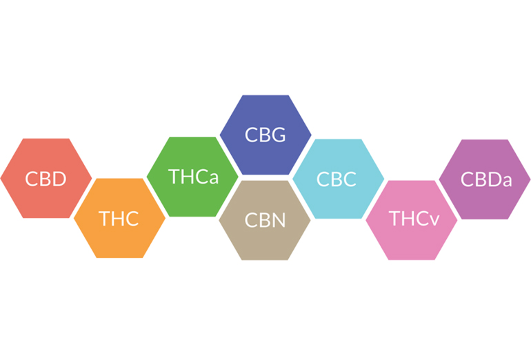 You are currently viewing The Entourage Effect: Why it’s Important to Consume Multiple Cannabinoids